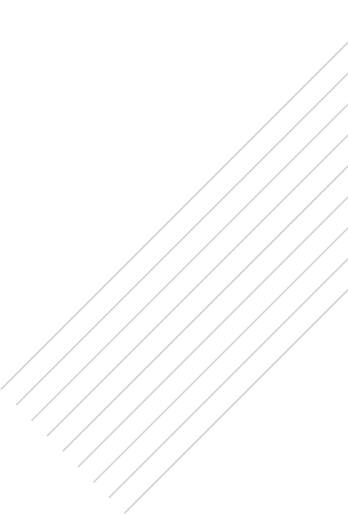 Векторный объект (линейка)